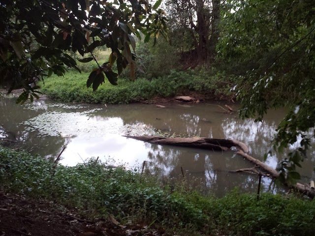 Gold Coast Hinterland Regional Park
